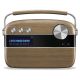 Saregama Carvaan Portable Digital Music Player (Walnut Brown)