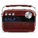 Saregama Carvaan Portable Digital Music Player (Cherrywood Red)