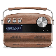 Saregama Carvaan Portable Digital Music Player (Oak Wood Brown)