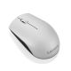 Lenovo GY50T83716 520 Wireless Mouse (Platinum)